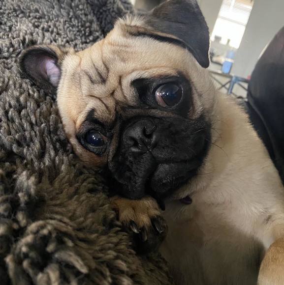 Meet your Posher, Jon - Picture 1 of 1